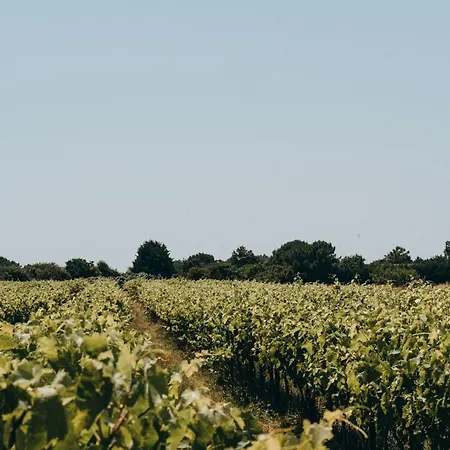 Kemp L'oree Des Bois - Atc Routes Du Monde Atc - Saint-pierre D'oleron Dolus d'Oléron