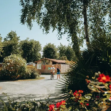 L'oree Des Bois - Atc Routes Du Monde Atc - Saint-pierre D'oleron * Dolus d'Oléron