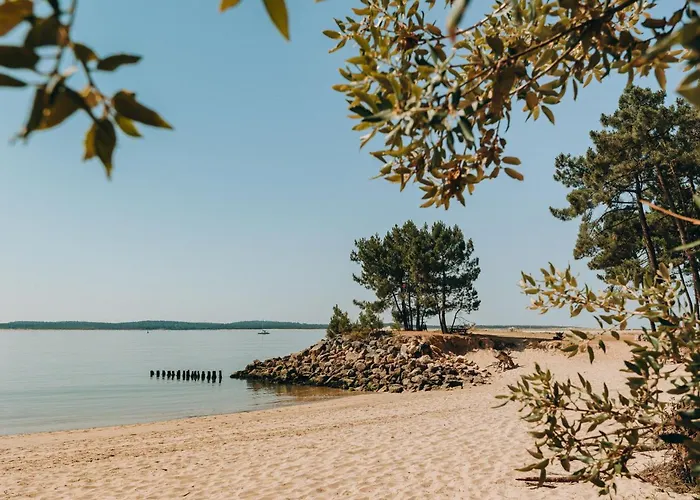 L'orée Des Bois - Atc Routes Du Monde Atc - Saint-pierre D'oléron * Dolus d'Oléron