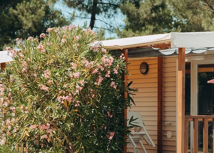 Camping L'orée Des Bois - Atc Routes Du Monde Atc - Saint-pierre D'oléron *