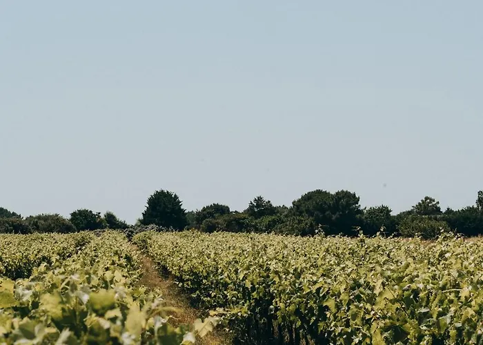 Camping L'orée Des Bois - Atc Routes Du Monde Atc - Saint-pierre D'oléron Dolus d'Oléron