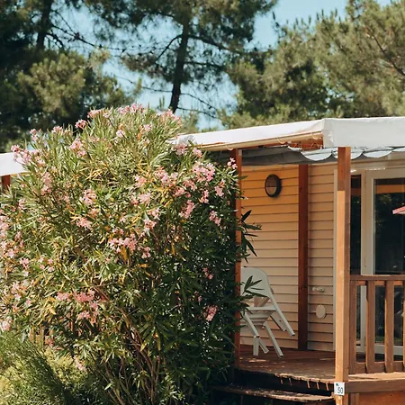 אתר קמפינג L'oree Des Bois - Atc Routes Du Monde Atc - Saint-pierre D'oleron *