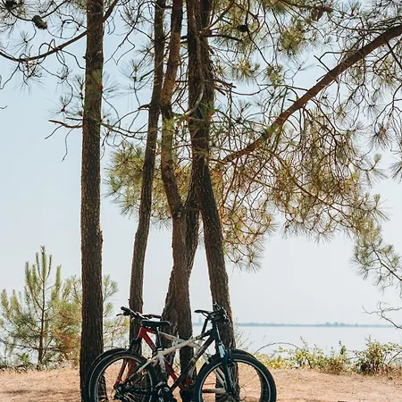 אתר קמפינג L'oree Des Bois - Atc Routes Du Monde Atc - Saint-pierre D'oleron