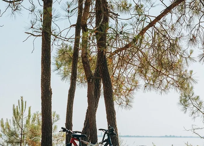 营地 L'oree Des Bois - Atc Routes Du Monde Atc - Saint-pierre D'oleron
